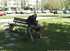 Nasty blonde slut poses in a park and takes a pee