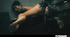 Asian blonde hot teenage girl eating pussy