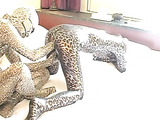 Girl with hairy pussy in leopard printed full body tricot enjoys fisting
